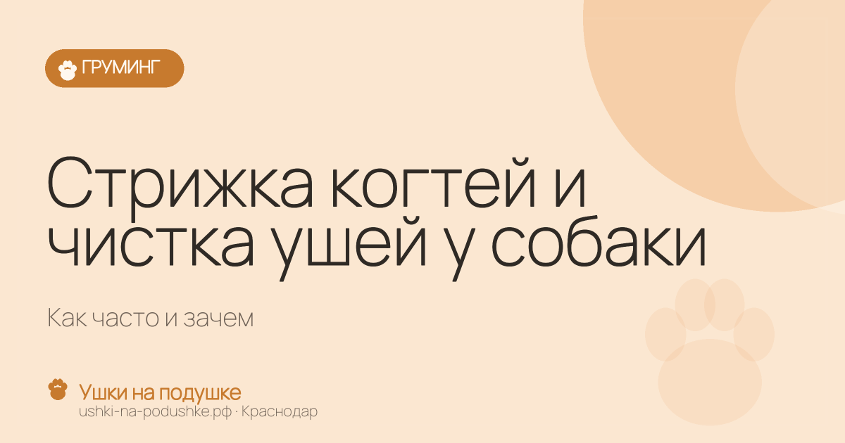 Стрижка когтей и чистка ушей у собаки: как часто и зачем