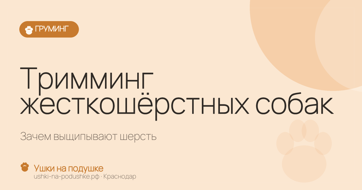Тримминг жесткошёрстных собак: зачем выщипывают шерсть